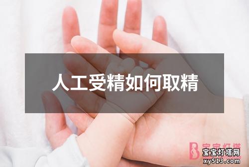 人工受精如何取精