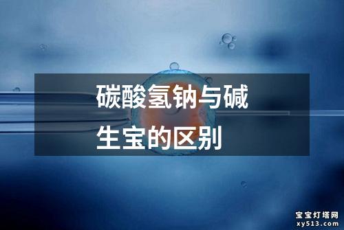 碳酸氢钠与碱生宝的区别