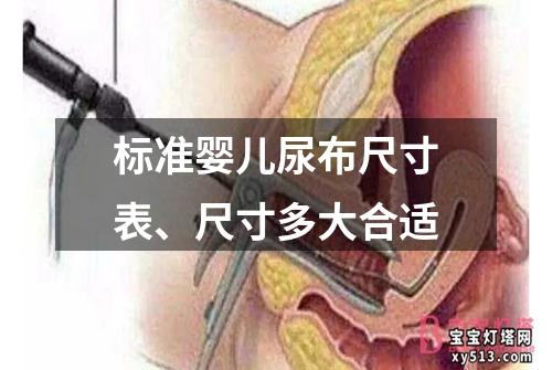 标准婴儿尿布尺寸表、尺寸多大合适