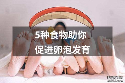 5种食物助你促进卵泡发育