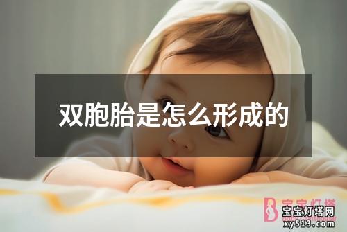 双胞胎是怎么形成的