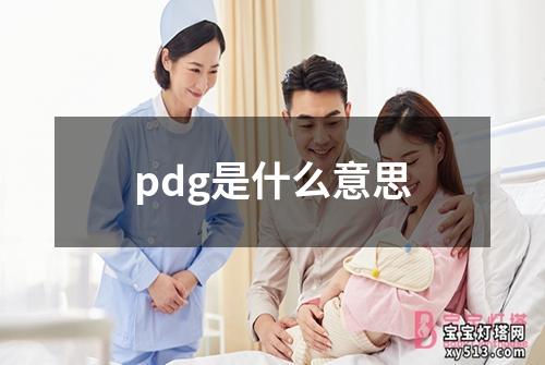 pdg是什么意思