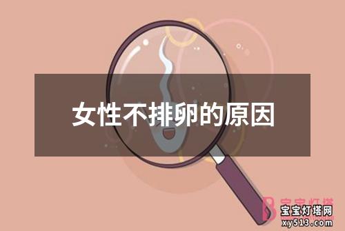 女性不排卵的原因