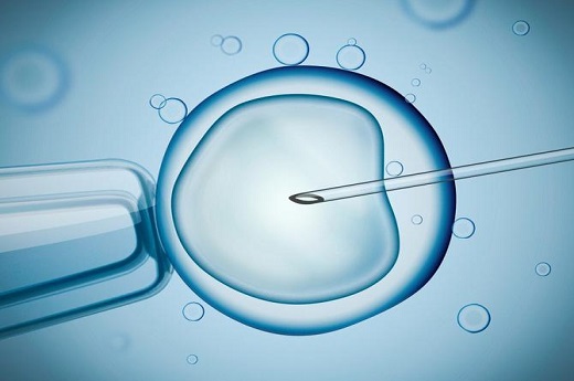 试管婴儿囊胚怎么移植的？-宝宝灯塔网
